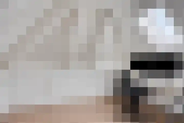 Zoutgootpad 6 Oss thumbnail 32