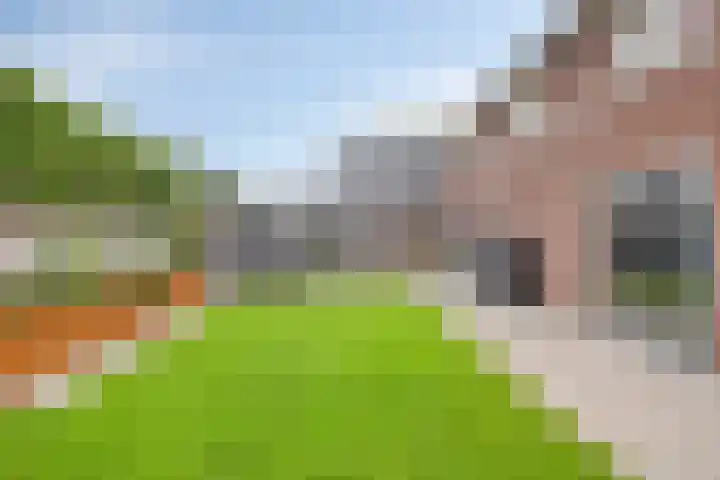Zoutgootpad 6 Oss thumbnail 33