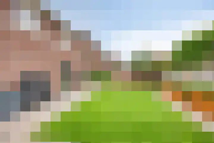 Zoutgootpad 6 Oss thumbnail 34