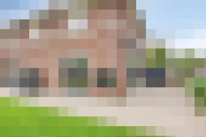 Zoutgootpad 6 Oss thumbnail 35