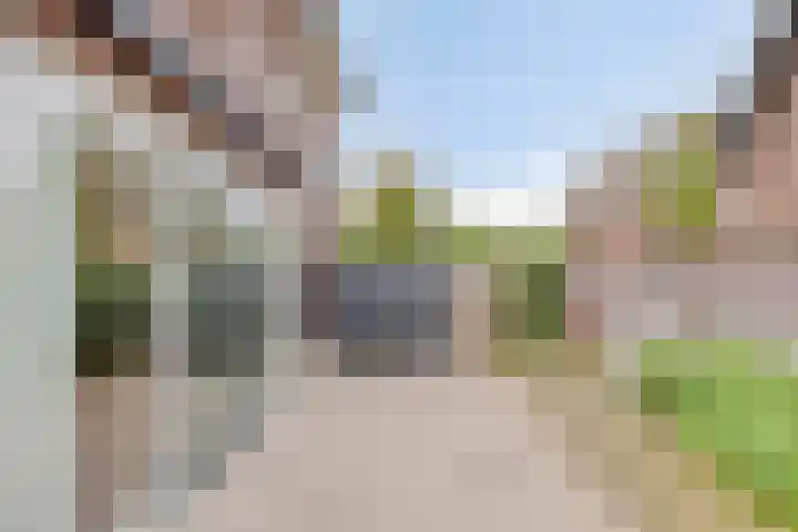 Zoutgootpad 6 Oss thumbnail 37