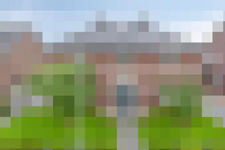 Zoutgootpad 6 Oss thumbnail 38