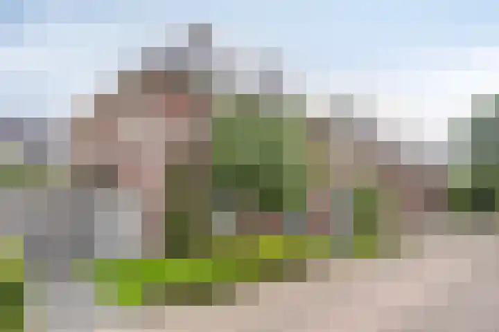 Zoutgootpad 6 Oss thumbnail 39