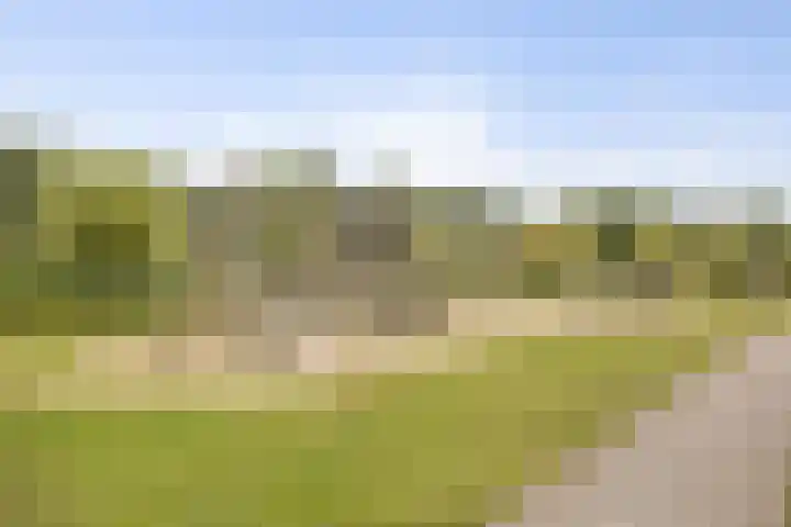 Zoutgootpad 6 Oss thumbnail 42