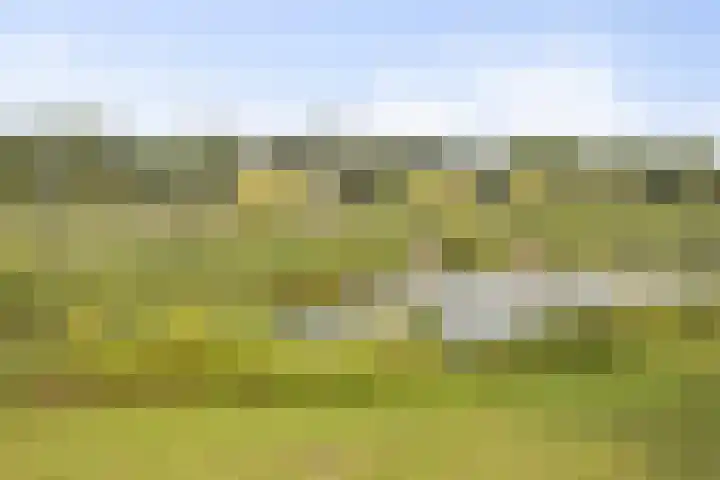 Zoutgootpad 6 Oss thumbnail 43