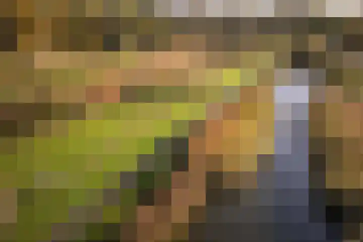 Zoutgootpad 6 Oss thumbnail 44