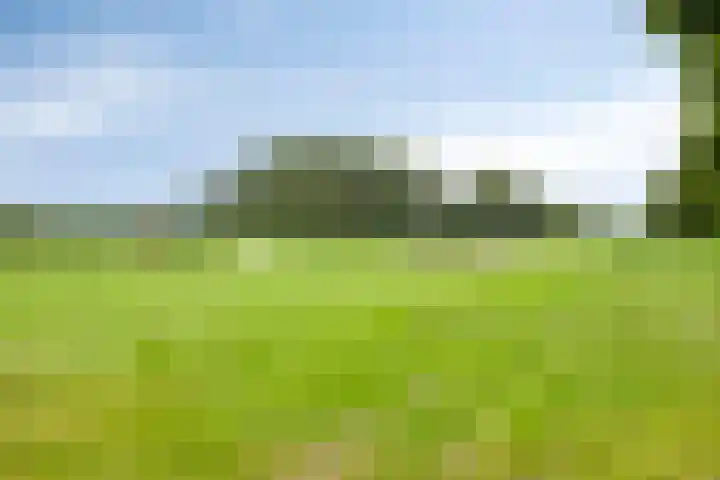 Zoutgootpad 6 Oss thumbnail 45