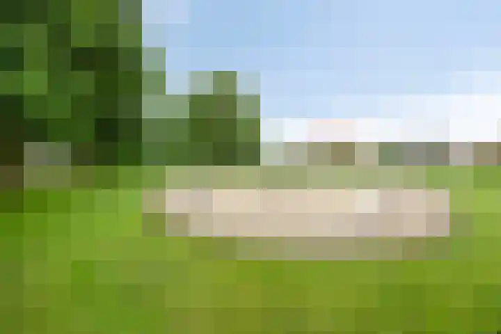 Zoutgootpad 6 Oss thumbnail 46