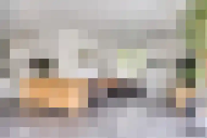 Zoutgootpad 6 Oss thumbnail 6