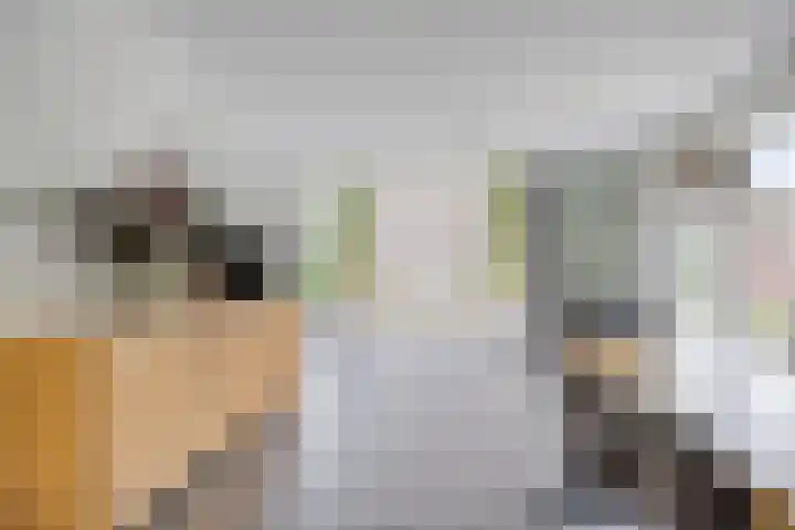 Zoutgootpad 6 Oss thumbnail 7