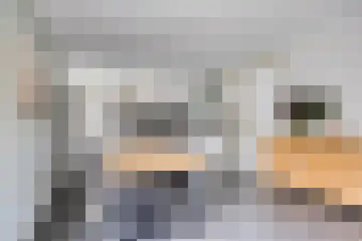 Zoutgootpad 6 Oss thumbnail 8