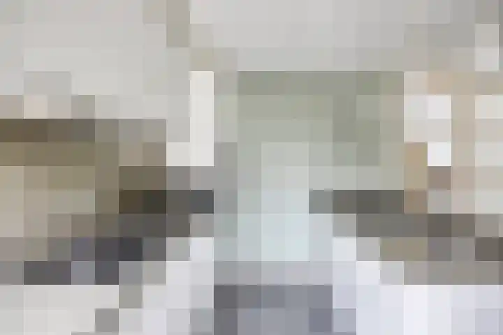 Zoutgootpad 6 Oss thumbnail 9