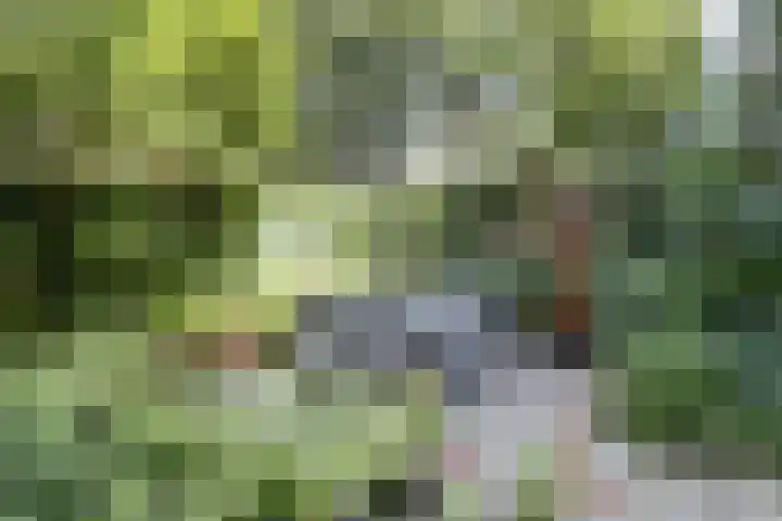 Zoutkeetsgracht 262 Amsterdam thumbnail 25