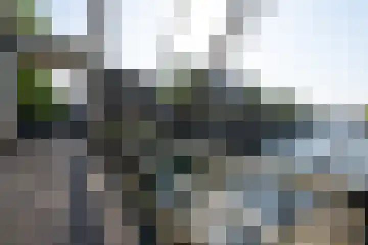 Zoutkeetsgracht 262 Amsterdam thumbnail 29