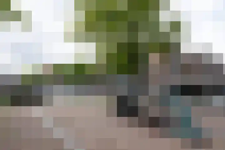 Zoutkeetsgracht 262 Amsterdam thumbnail 35