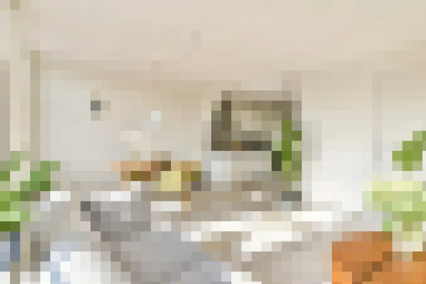 Zoutkeetsgracht 360 Amsterdam thumbnail 9
