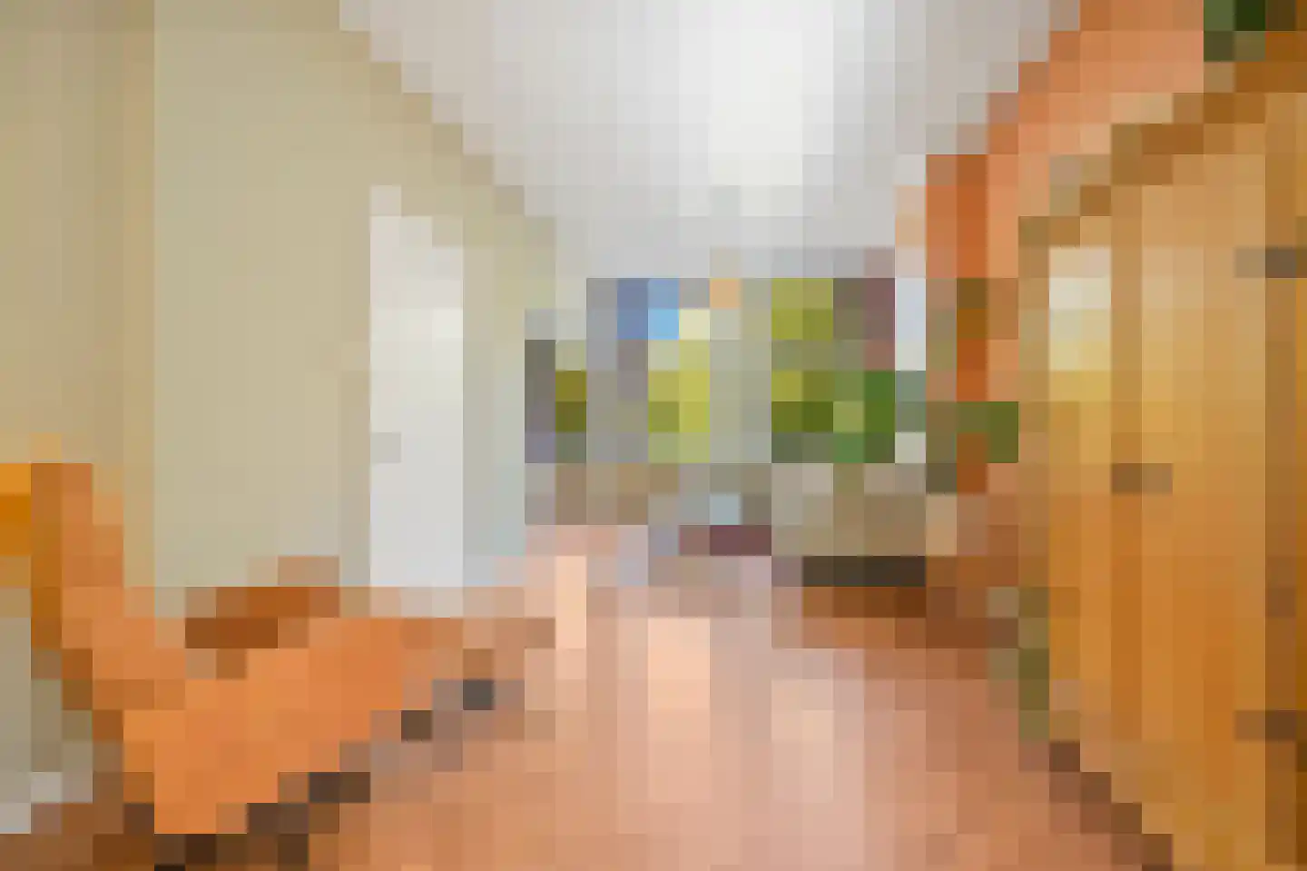 Zoutkeetsingel 12 Den Haag thumbnail 13
