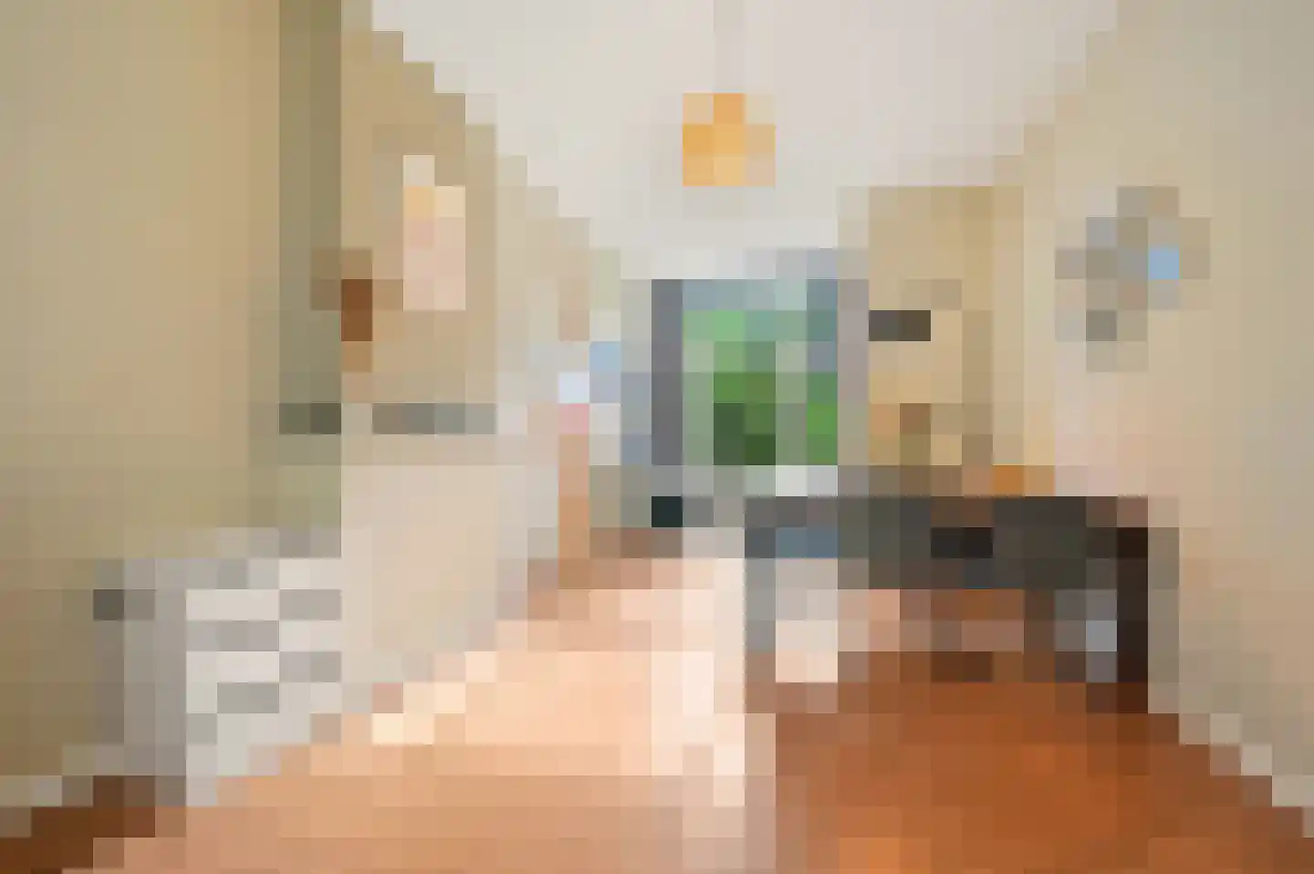 Zoutkeetsingel 12 Den Haag thumbnail 17