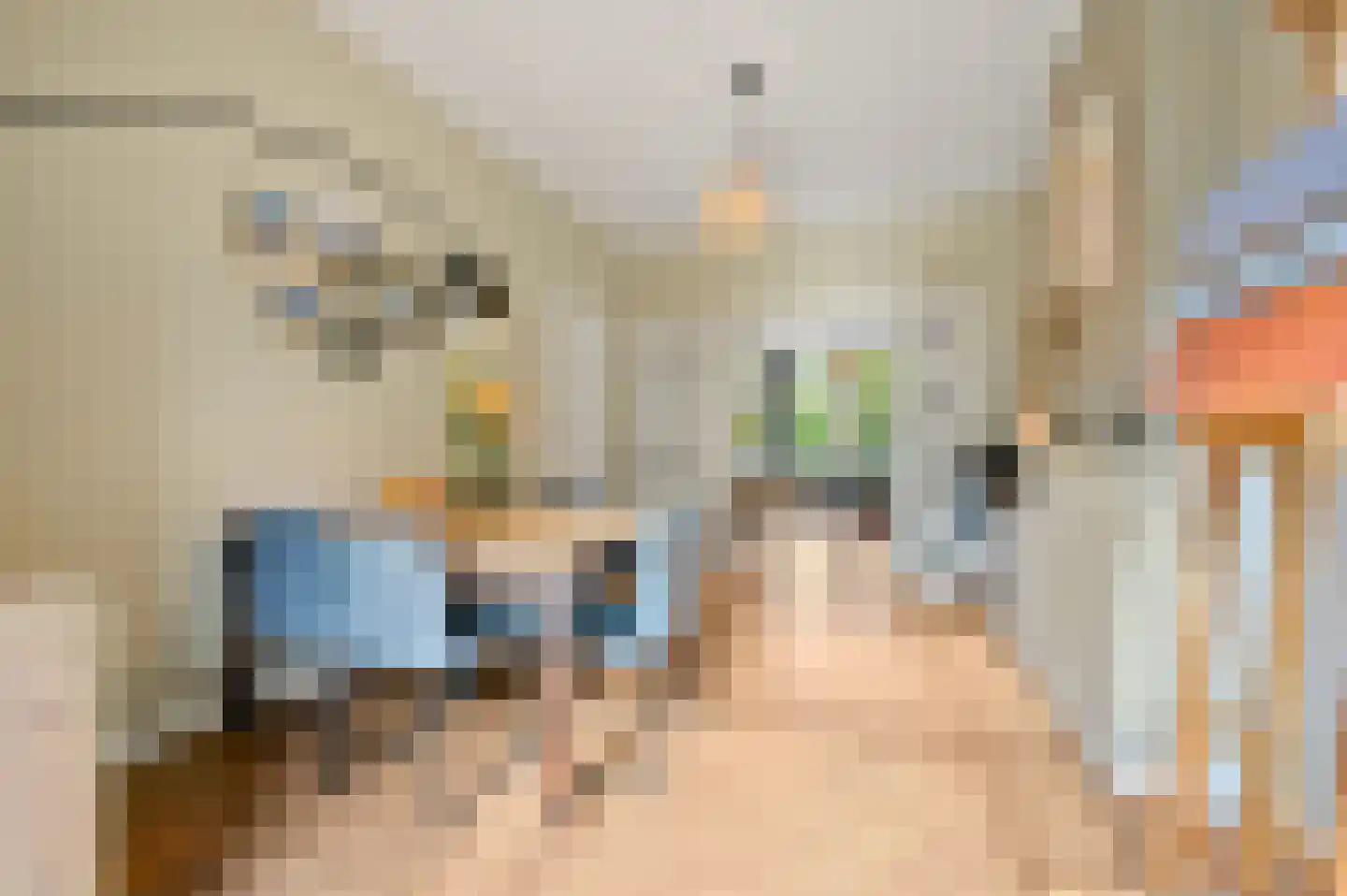 Zoutkeetsingel 12 Den Haag thumbnail 18