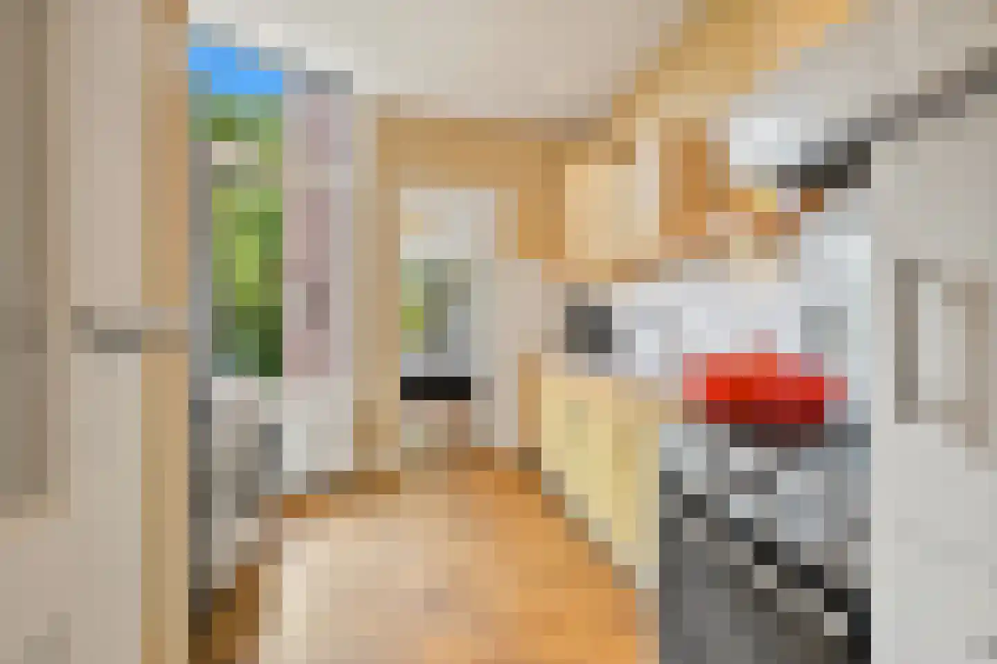Zoutkeetsingel 12 Den Haag thumbnail 22