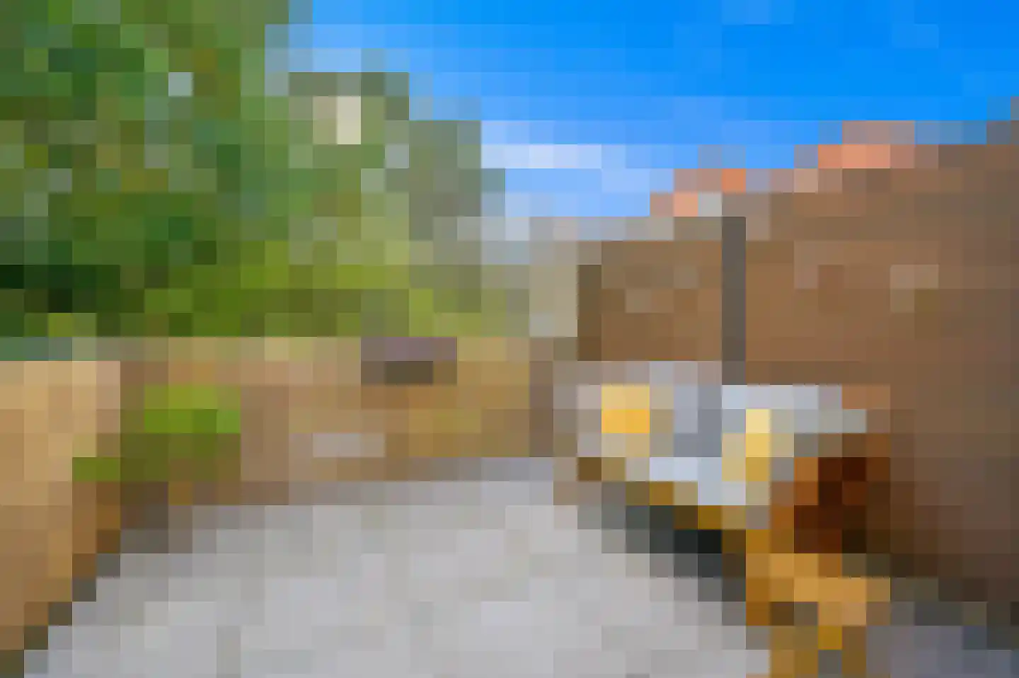 Zoutkeetsingel 12 Den Haag thumbnail 4