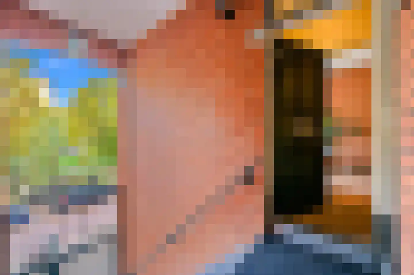 Zoutkeetsingel 12 Den Haag thumbnail 6