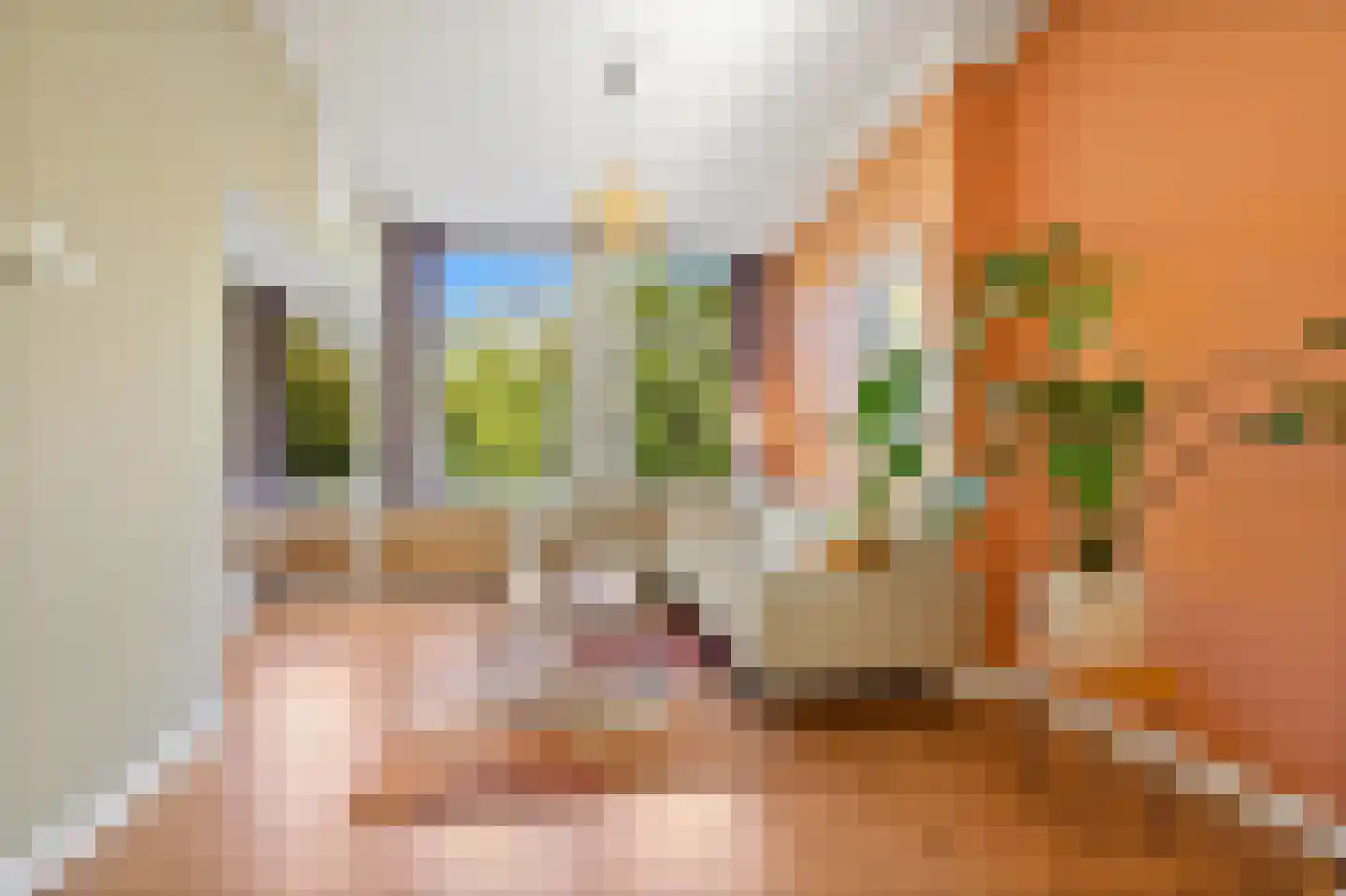 Zoutkeetsingel 12 Den Haag thumbnail 7