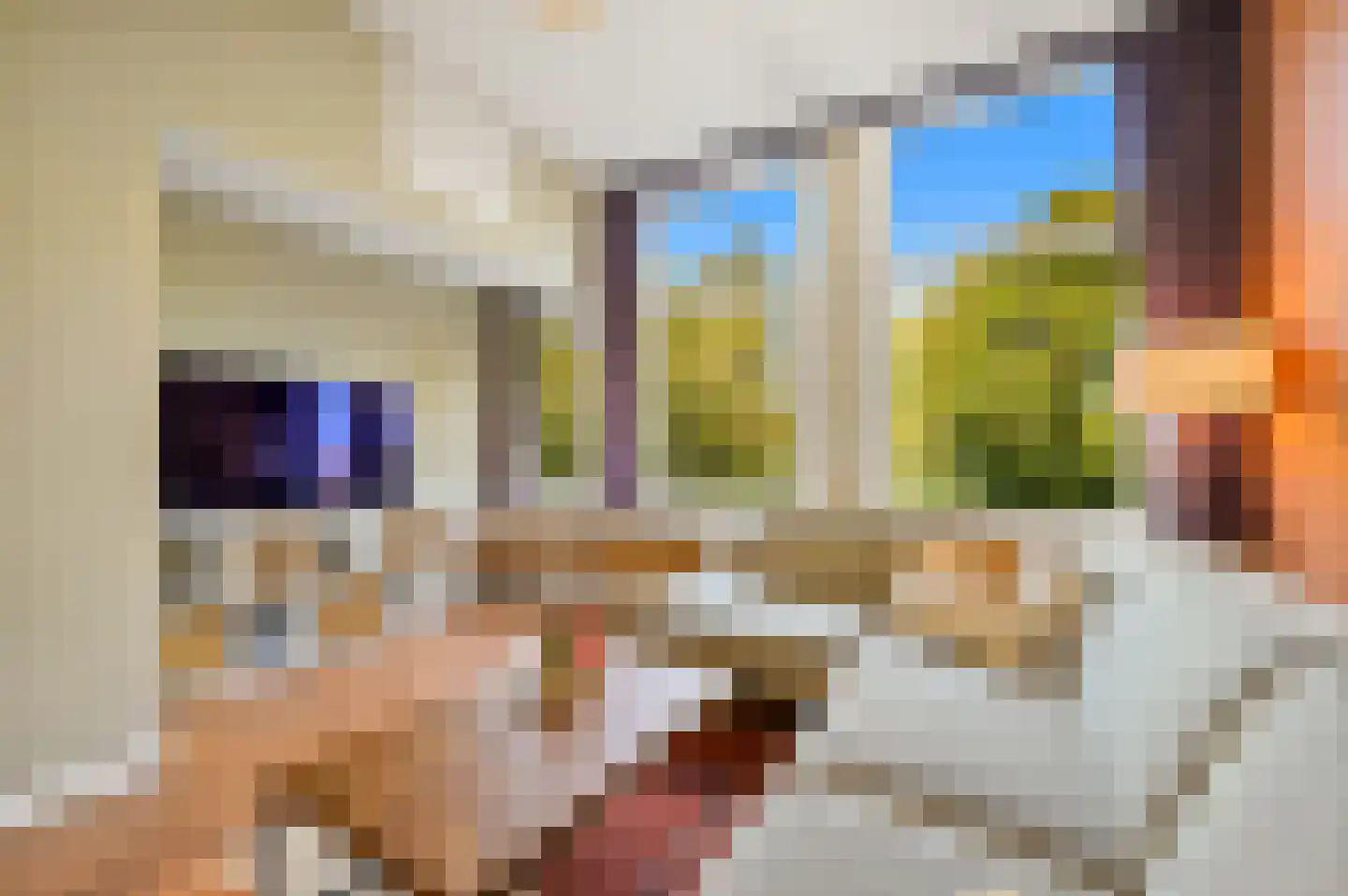 Zoutkeetsingel 12 Den Haag thumbnail 9