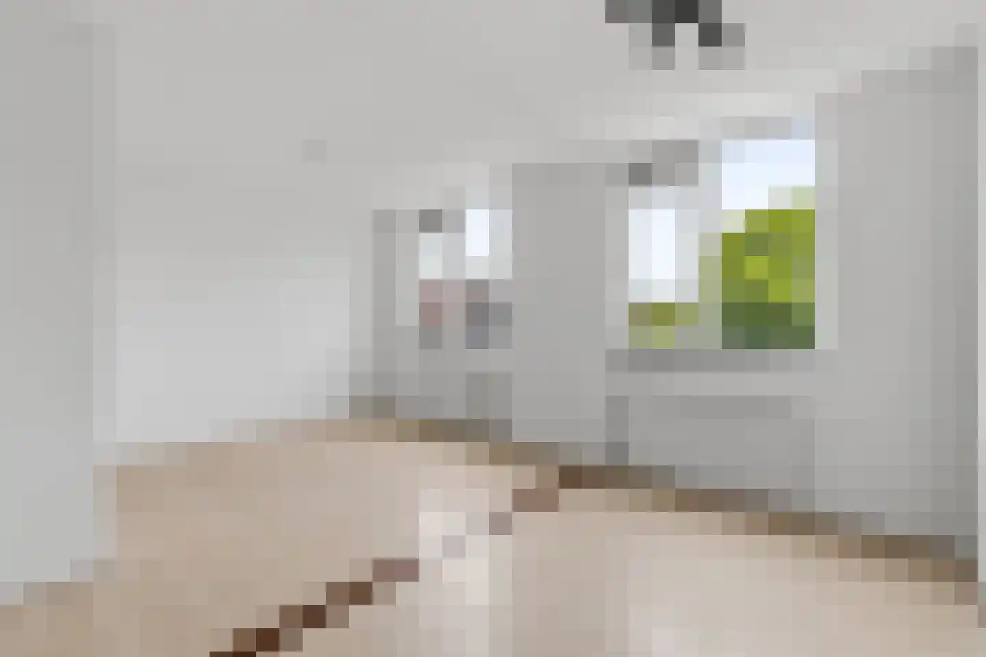 Zoutkeetsingel 122 Den Haag thumbnail 14