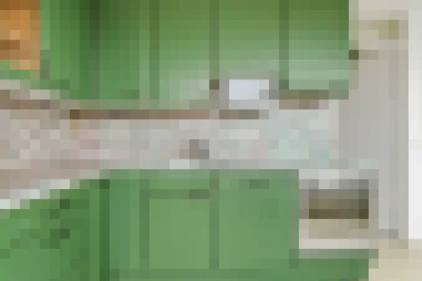 Zoutkeetsingel 122 Den Haag thumbnail 8
