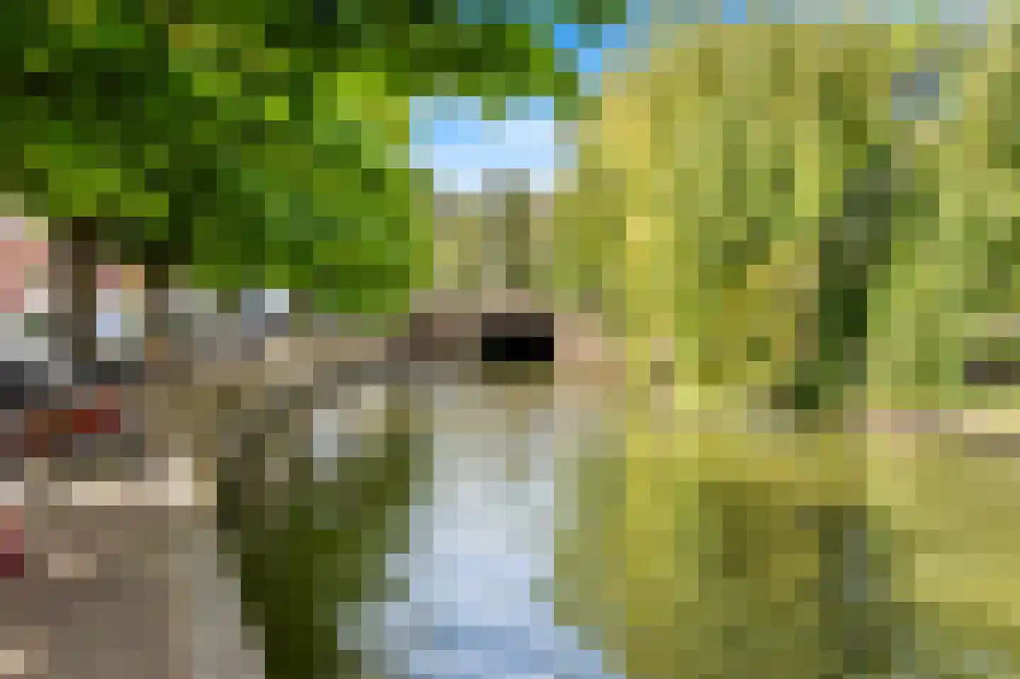 Zoutkeetsingel 33 Den Haag thumbnail 23