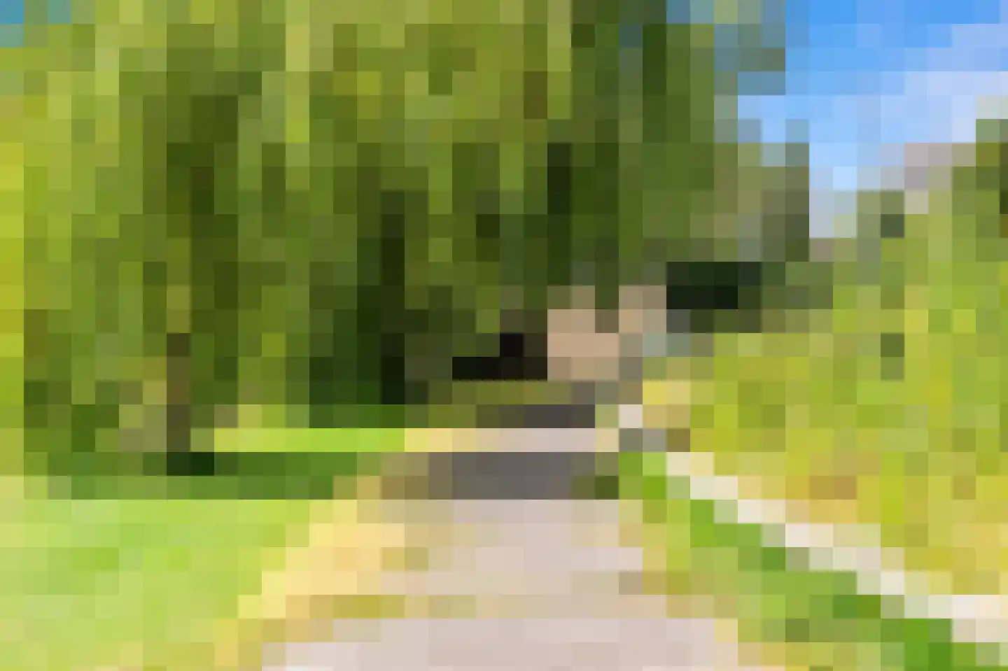 Zoutkeetsingel 33 Den Haag thumbnail 25