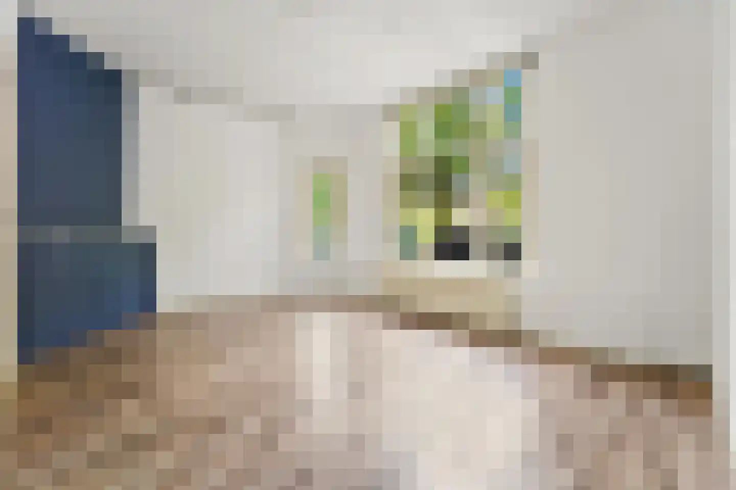 Zoutkeetsingel 33 Den Haag thumbnail 6