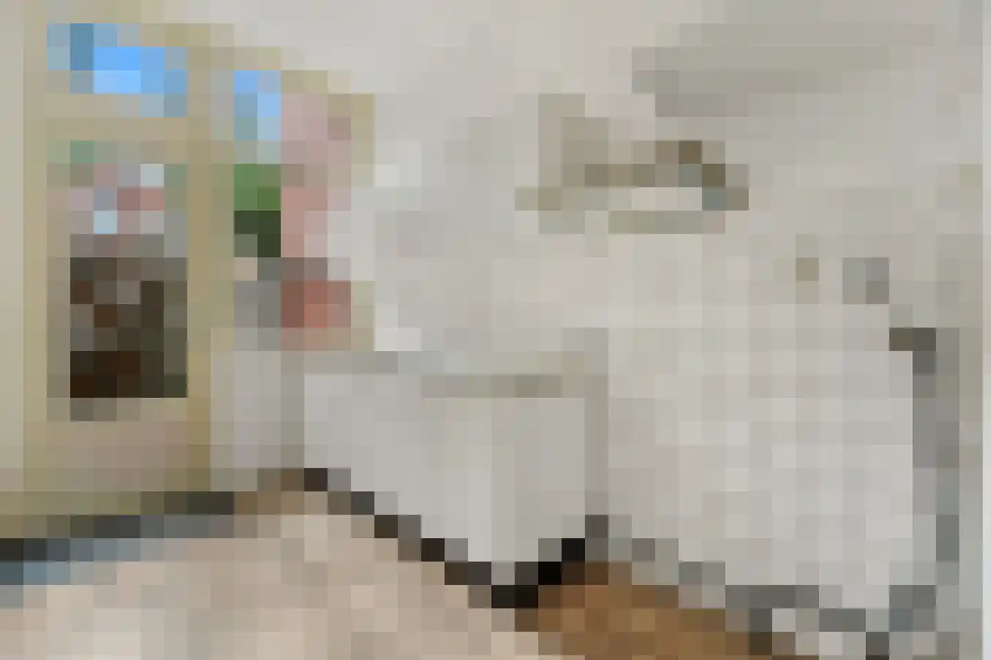 Zoutkeetsingel 33 Den Haag thumbnail 9