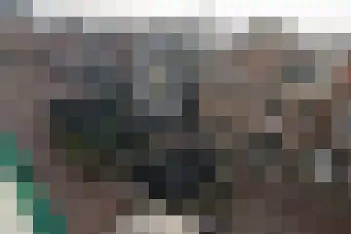 Zoutkeetstraatje 12 32 Tiel thumbnail 13