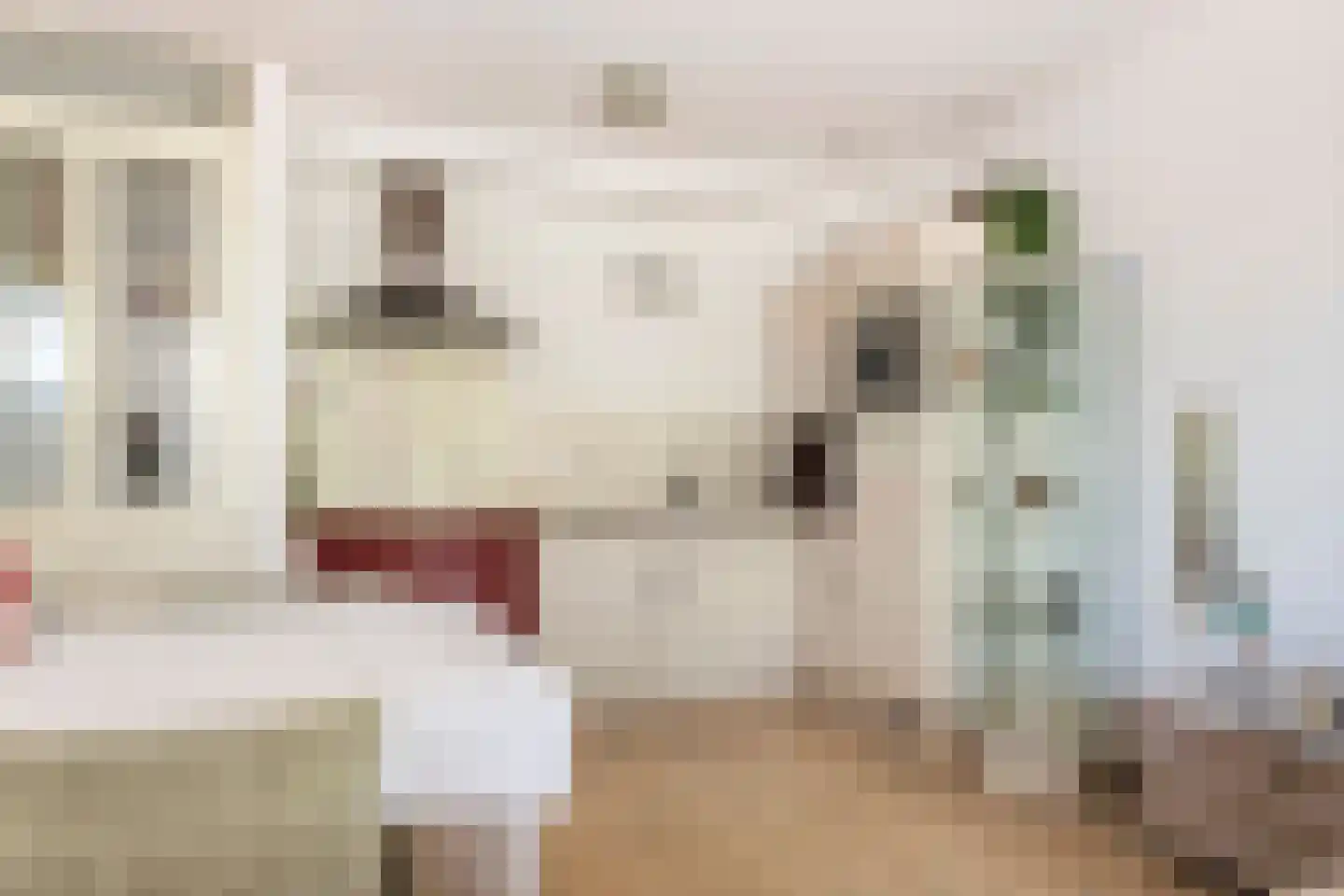 Zoutkeetstraatje 20 21 Tiel thumbnail 10