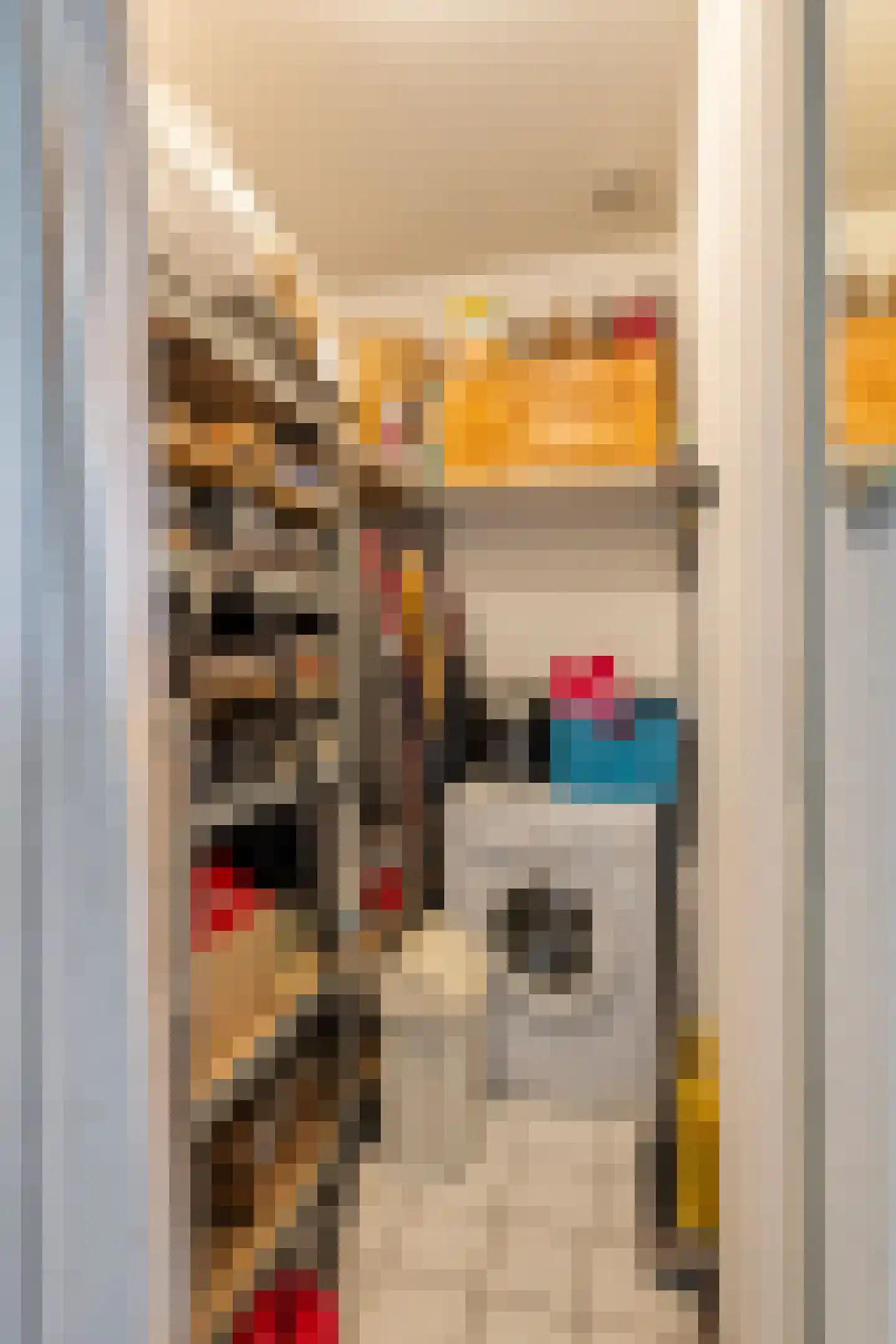 Zoutkeetstraatje 20 21 Tiel thumbnail 19