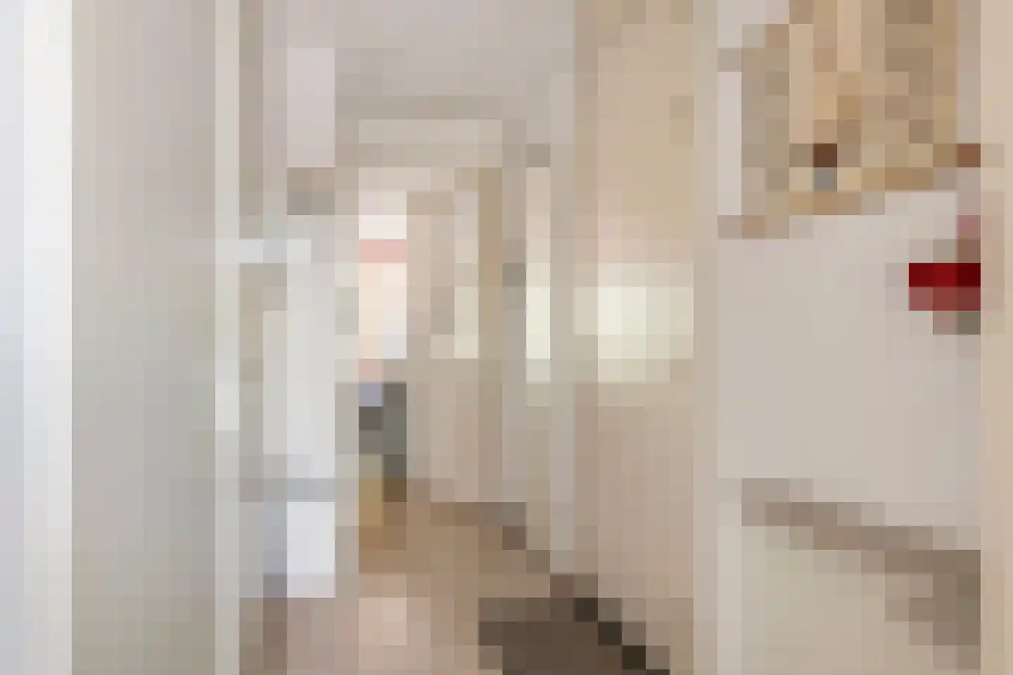 Zoutkeetstraatje 20 21 Tiel thumbnail 20