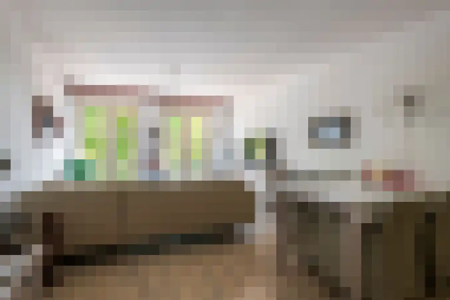 Zoutkeetstraatje 20 21 Tiel thumbnail 7