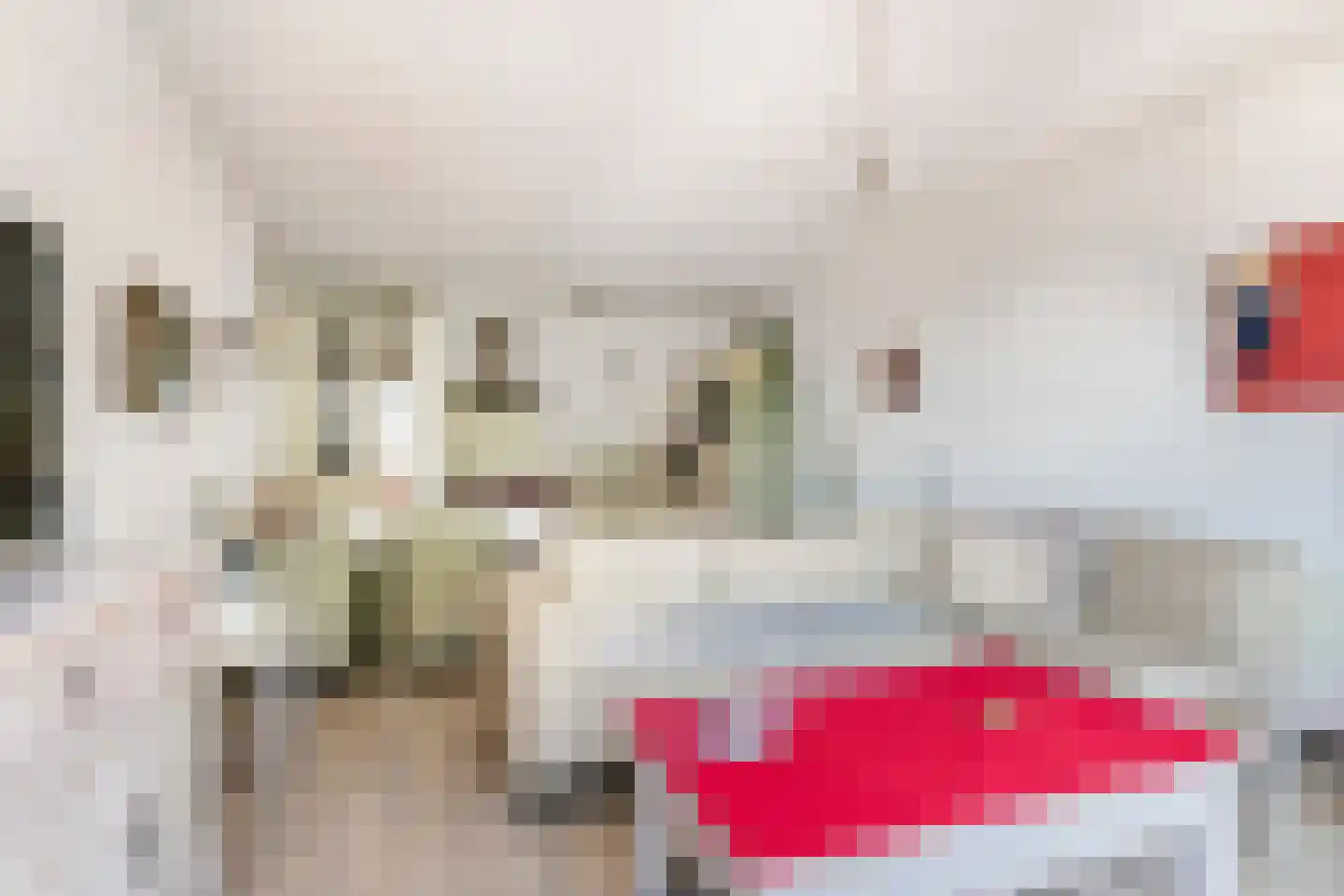 Zoutkeetstraatje 20 21 Tiel thumbnail 9