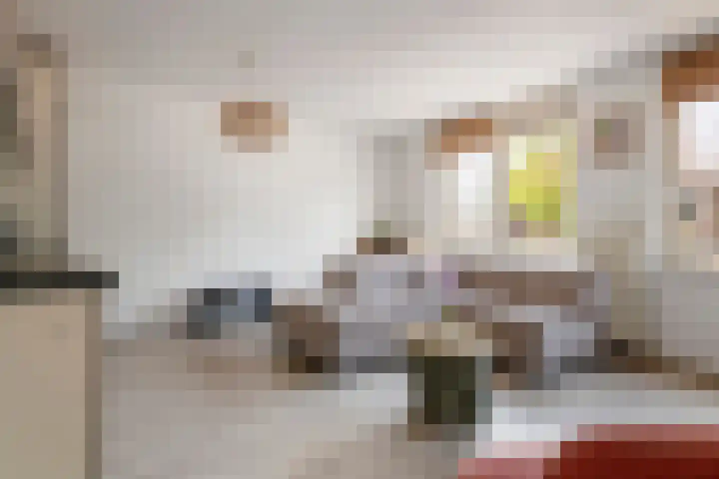 Zoutkeetstraatje 8 11 Tiel thumbnail 7
