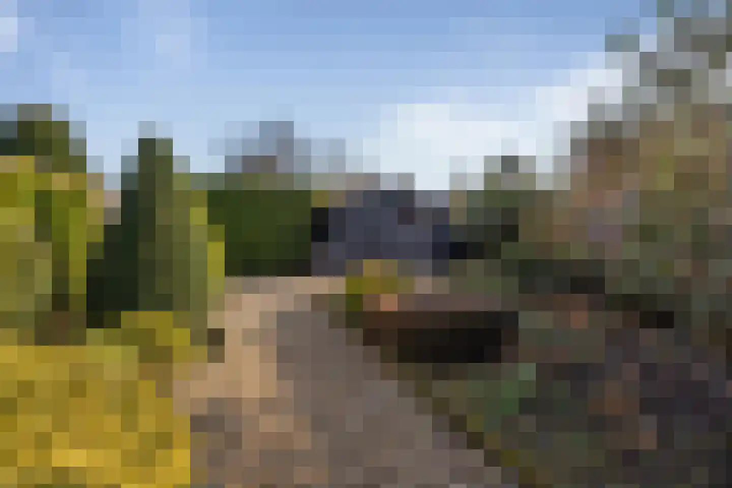 Zoutlaan 41 Oudenbosch thumbnail 27