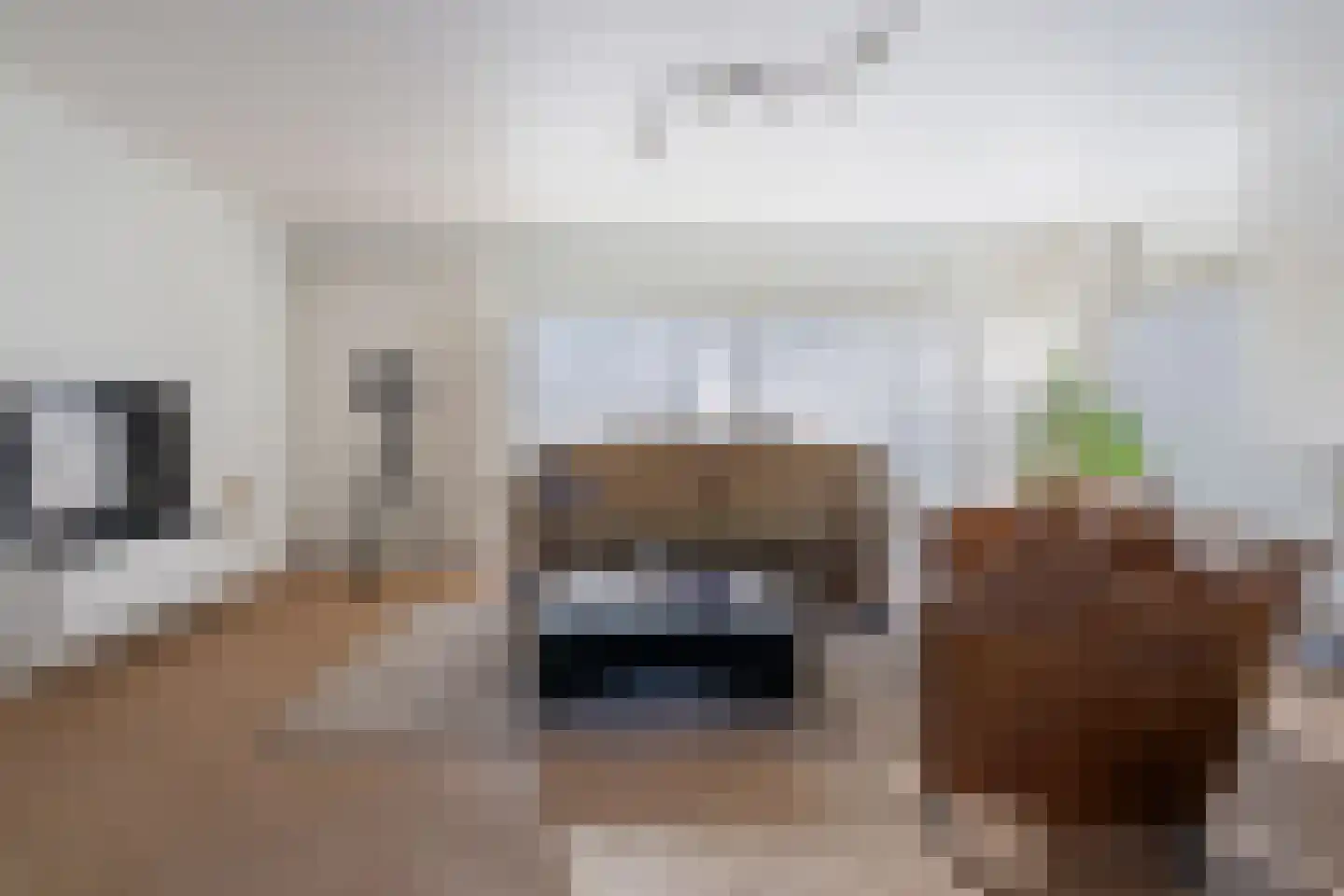 Zoutlaan 41 Oudenbosch thumbnail 9