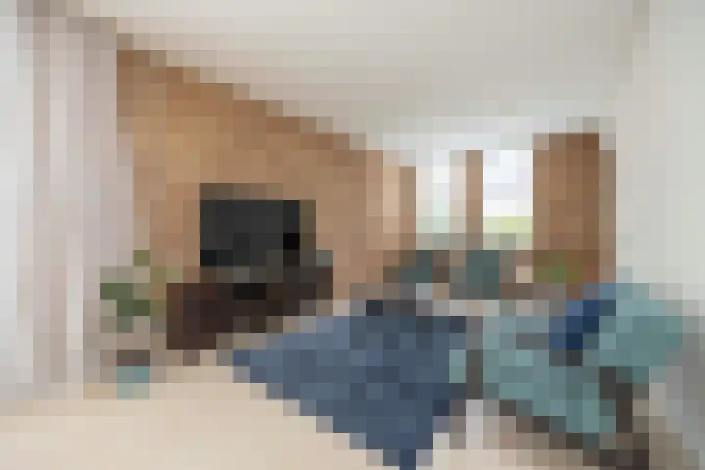 Zoutlaan 51 Oudenbosch thumbnail 15