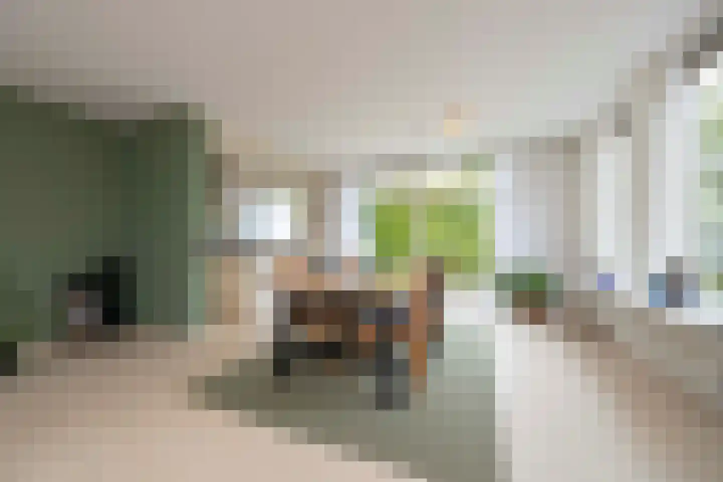 Zoutlaan 51 Oudenbosch thumbnail 18
