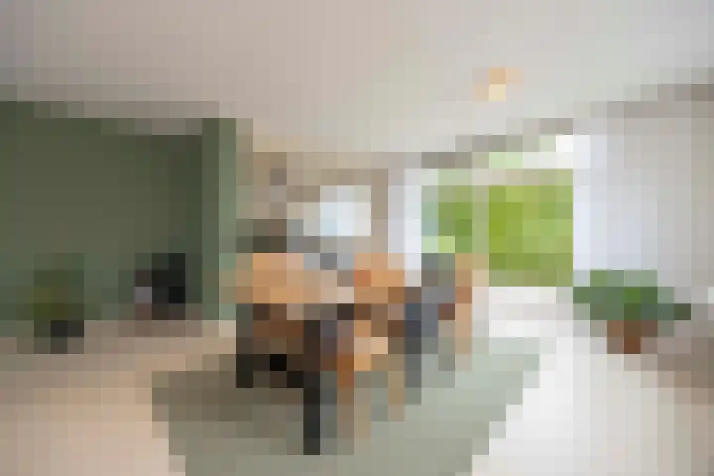 Zoutlaan 51 Oudenbosch thumbnail 20