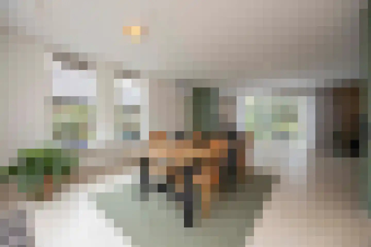 Zoutlaan 51 Oudenbosch thumbnail 22