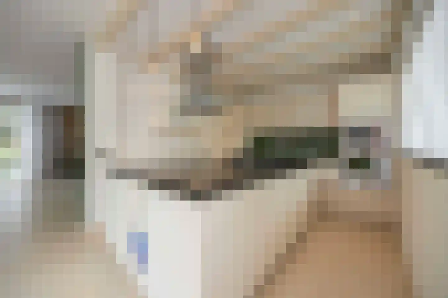 Zoutlaan 51 Oudenbosch thumbnail 24