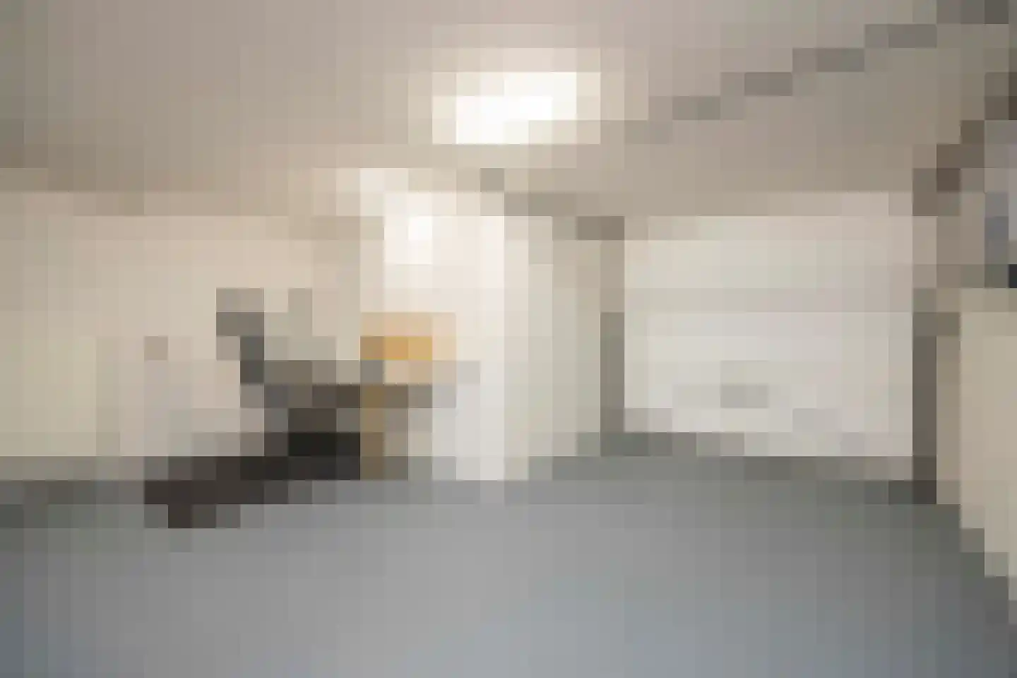 Zoutlaan 51 Oudenbosch thumbnail 27