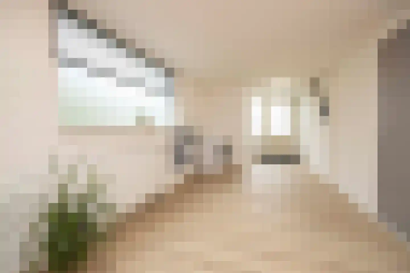 Zoutlaan 51 Oudenbosch thumbnail 29